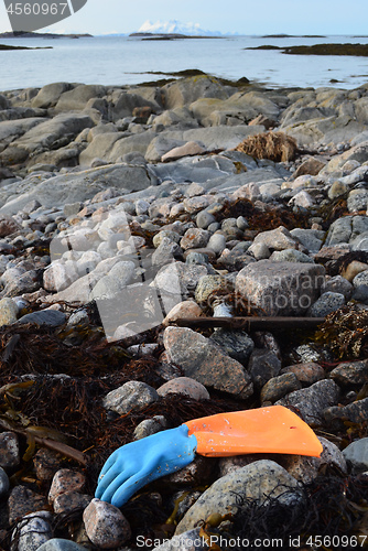 Image of Garbage along the coast