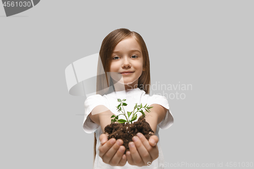 Image of Kids hands with seedlings on gray studio background. Spring concept, nature and care.