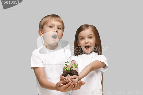 Image of Kids hands with seedlings on gray studio background. Spring concept, nature and care.