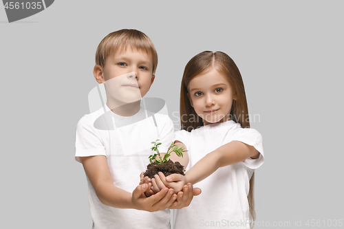Image of Kids hands with seedlings on gray studio background. Spring concept, nature and care.