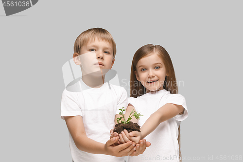 Image of Kids hands with seedlings on gray studio background. Spring concept, nature and care.
