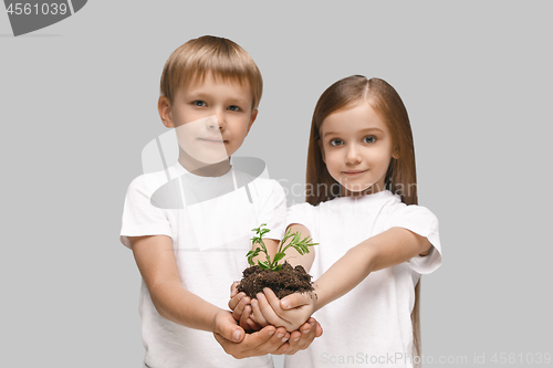 Image of Kids hands with seedlings on gray studio background. Spring concept, nature and care.