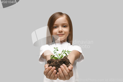 Image of Kids hands with seedlings on gray studio background. Spring concept, nature and care.