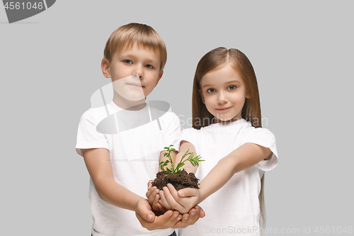 Image of Kids hands with seedlings on gray studio background. Spring concept, nature and care.