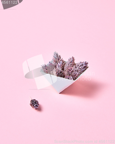 Image of Pine cones in a cardboard triangular box on a pink background with copy space for text. Creative layout