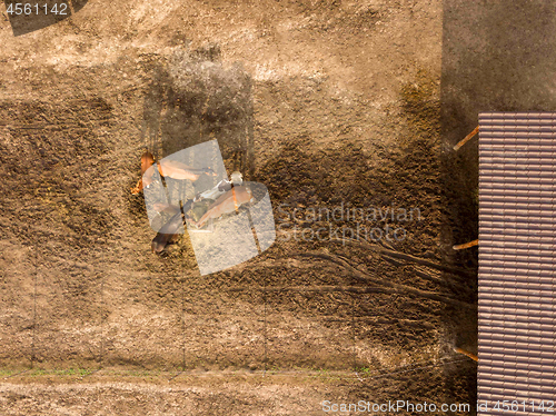 Image of Aerial view from drone horse farm with animals eating hay from a wooden box on a sunny day.