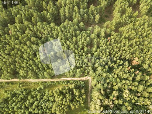 Image of Top view on a sunny summer day on a dirt road through the foliage of the forest. Natural background. Aerial view from the drone