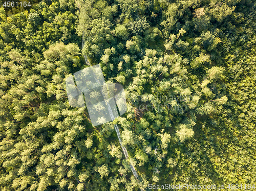 Image of Top view of a forest of deciduous trees and expensive sunny day. Aerial view from the drone. Foliage background