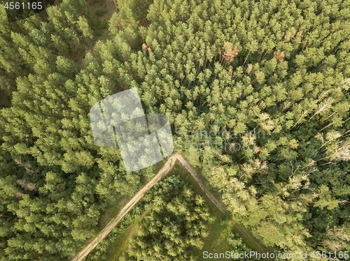 Image of Aerial view from the drone forest foliage with green glade and road on a clear summer day. Top view