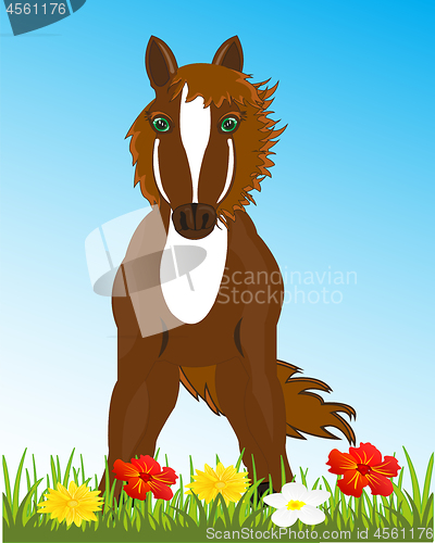 Image of Beautiful sulfuric horse on glade with flower