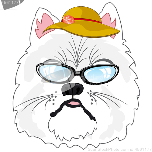 Image of Portrait of the fashionable cat in hat and spectacles