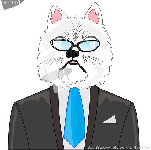 Image of Portrait of the cat in suit and tie