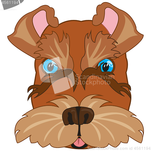 Image of Vector illustration of the cartoon of the mug of the dog scnauzer