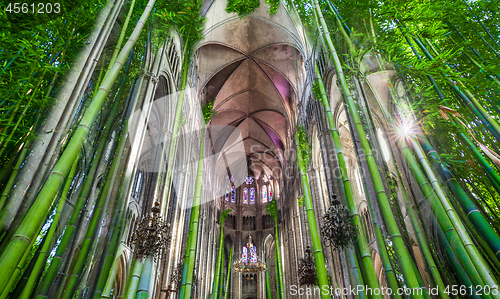 Image of Bamboo cathedral concept, choir of the nature