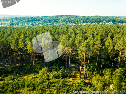 Image of Panoramic view of the pine forest and a small village against the sky on a sunny day. Aerial view from the drone. Natural background