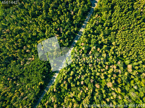Image of Aerial view of the road through the deciduous forest is a fine summer day. Natural background
