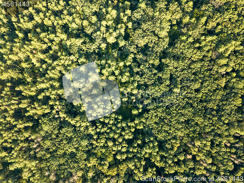 Image of Aerial photograph of a summer day on green foliage forest. Natural background. Environmental conservation concept