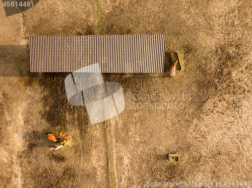 Image of Horses eat fresh hay from a wooden box on a farm on a summer day. Aerial view from the drone