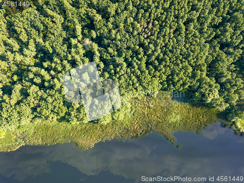 Image of Beautiful aerial view of the drone on the river and the green forest on a sunny day. Natural background