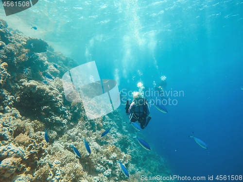 Image of Coral Reef underwater in the sea