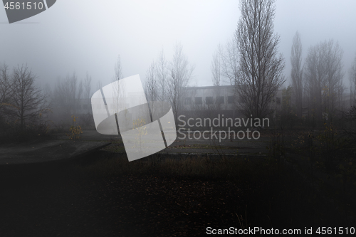 Image of Dark abandoned road in the forest