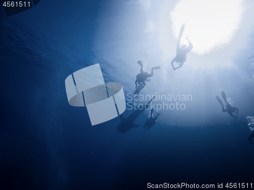 Image of Many divers in the sea