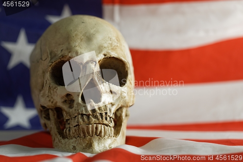 Image of Skull of the reaper closeup photo