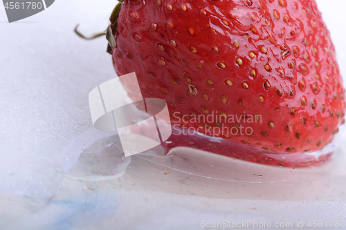 Image of Close up of strawberry frozen in ice