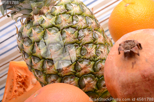 Image of collection of fruit and vegetables. Pineapple, lemon, grapefruit, onion, pumpkin