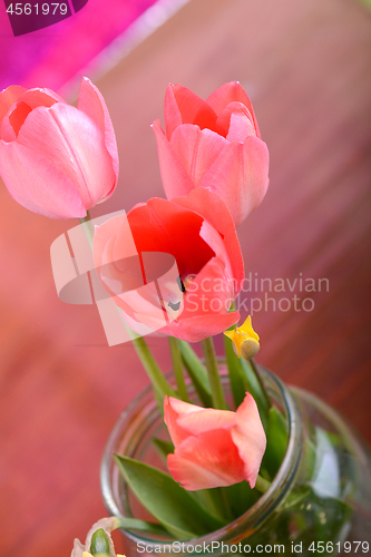 Image of spring flowers banner - bunch of pink tulip flowers on red background