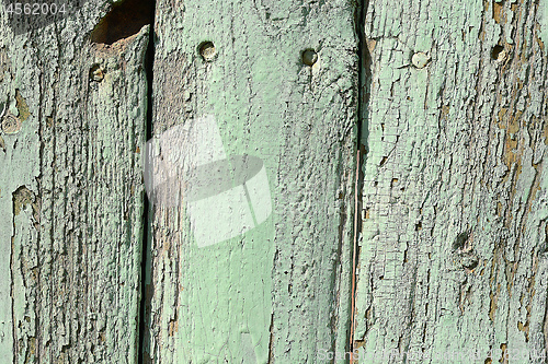 Image of Texture of wood background closeup