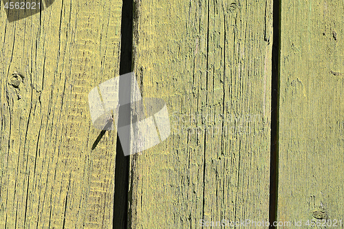 Image of old green colored wooden plank surface