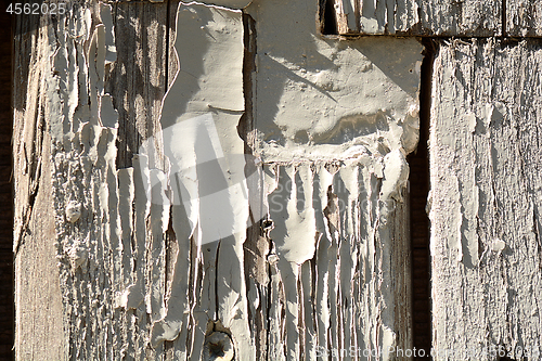 Image of Texture of wood background closeup