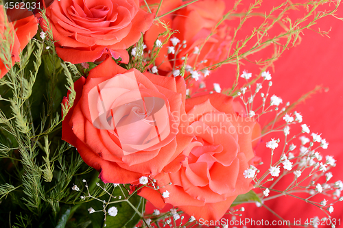 Image of red rose background, close up shot, valentine day concept.