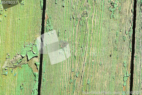 Image of old green colored wooden plank surface