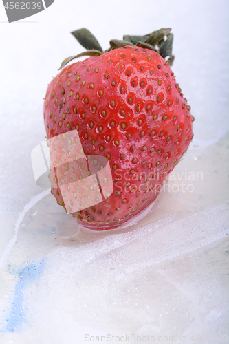 Image of Close up of strawberry frozen in ice
