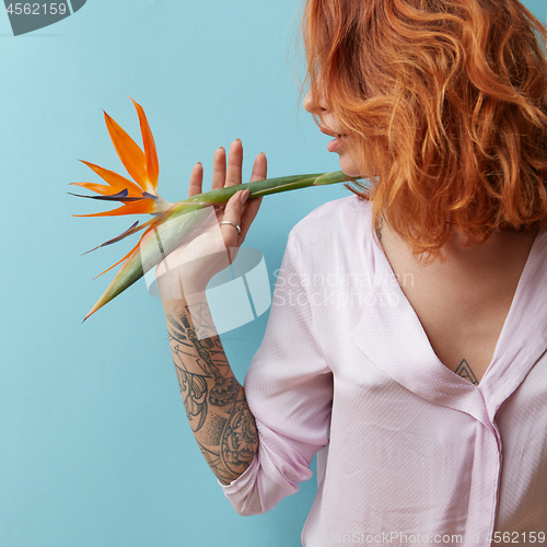 Image of Woman with a tattoo holding an orange flower strelitzia in hands around a blue background with space for text. Valentine\'s day concept