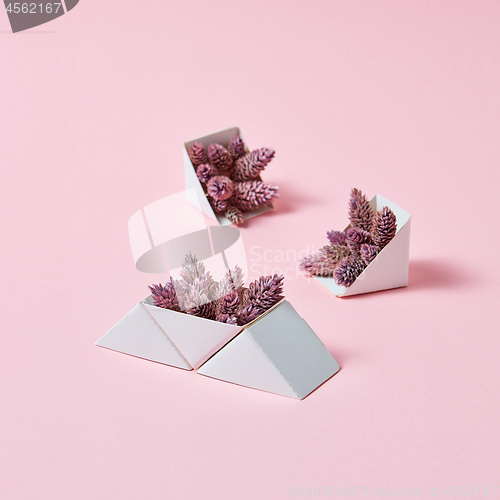 Image of A set of triangular cardboard boxes with pine cones on a pink background with copy space. A creative composition