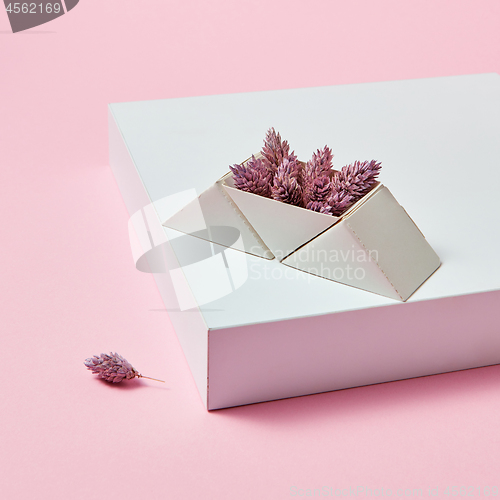 Image of On the white box are pine cones in a cardboard triangular box on a pink background with space for text.