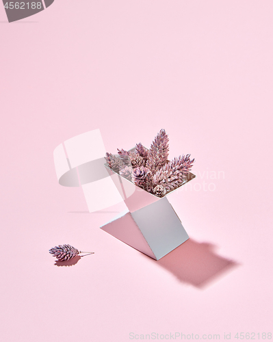 Image of Cardboard box triangular with cones presented on a pink background with a shadow and copy space. Autumn composition