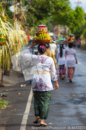 Image of Bali, Indonesia - Feb 2, 2012 - Hari Raya Galungan and Umanis Galungan holiday fesival parade - the days to celebrate the victory of Goodness over evil, on February 2nd 2012 on Bali, Indonesia