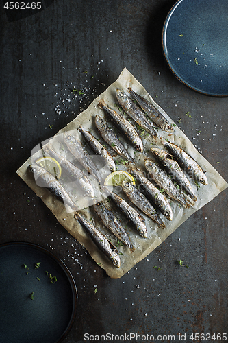 Image of Sardines fish