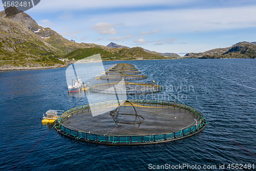 Image of Farm salmon fishing in Norway