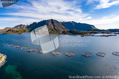 Image of Farm salmon fishing in Norway