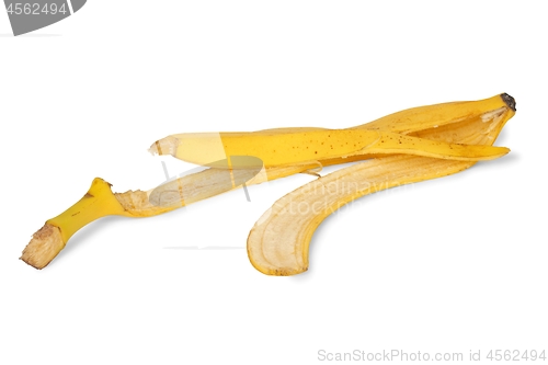 Image of Banana peel on white