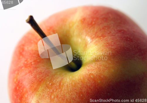 Image of apple