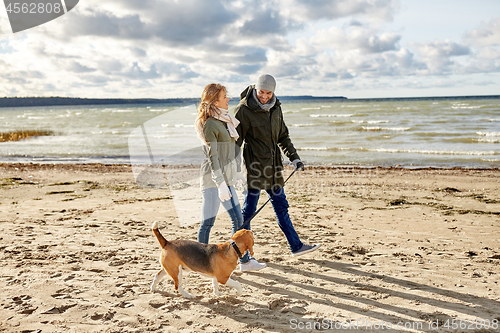 Image of happy couple with beagle dog on autumn beach