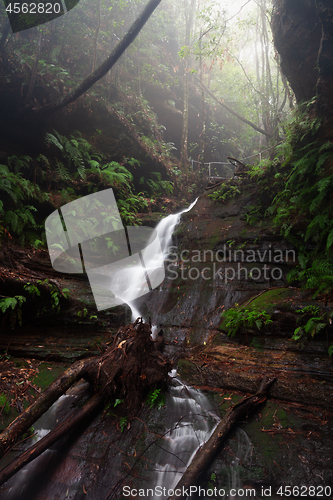 Image of Mountain stream and waterfall in Blue Mountains