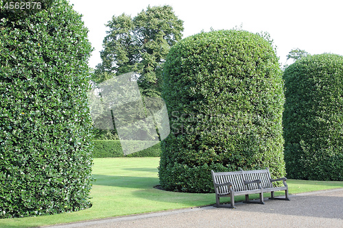 Image of Bench in Park