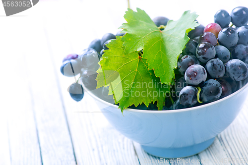 Image of grape